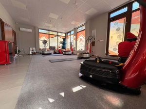 Vibra Fit Studio Power Plate