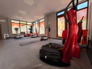 Vibra Fit Studio Power Plate