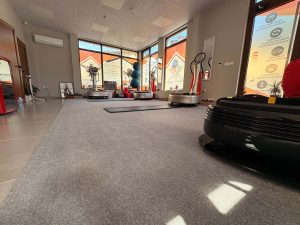 Vibra Fit Studio Power Plate